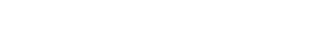 SkyTelecom