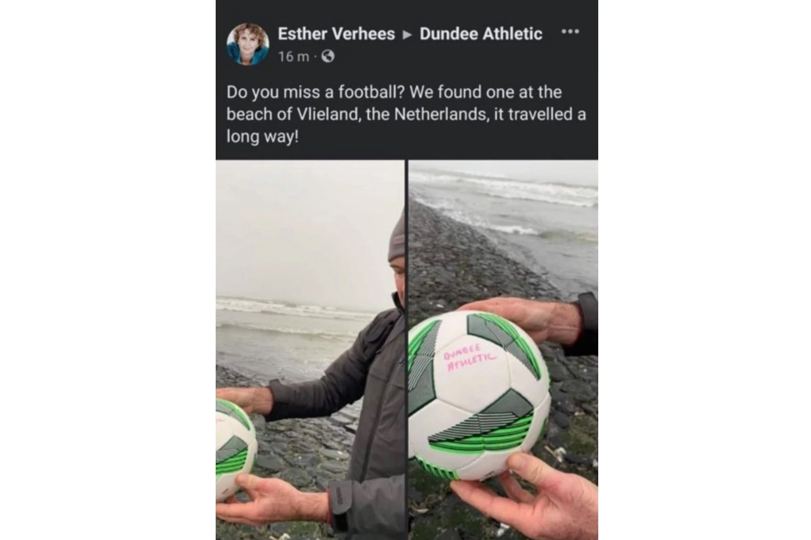 ball-dundee-netherlands.jpg