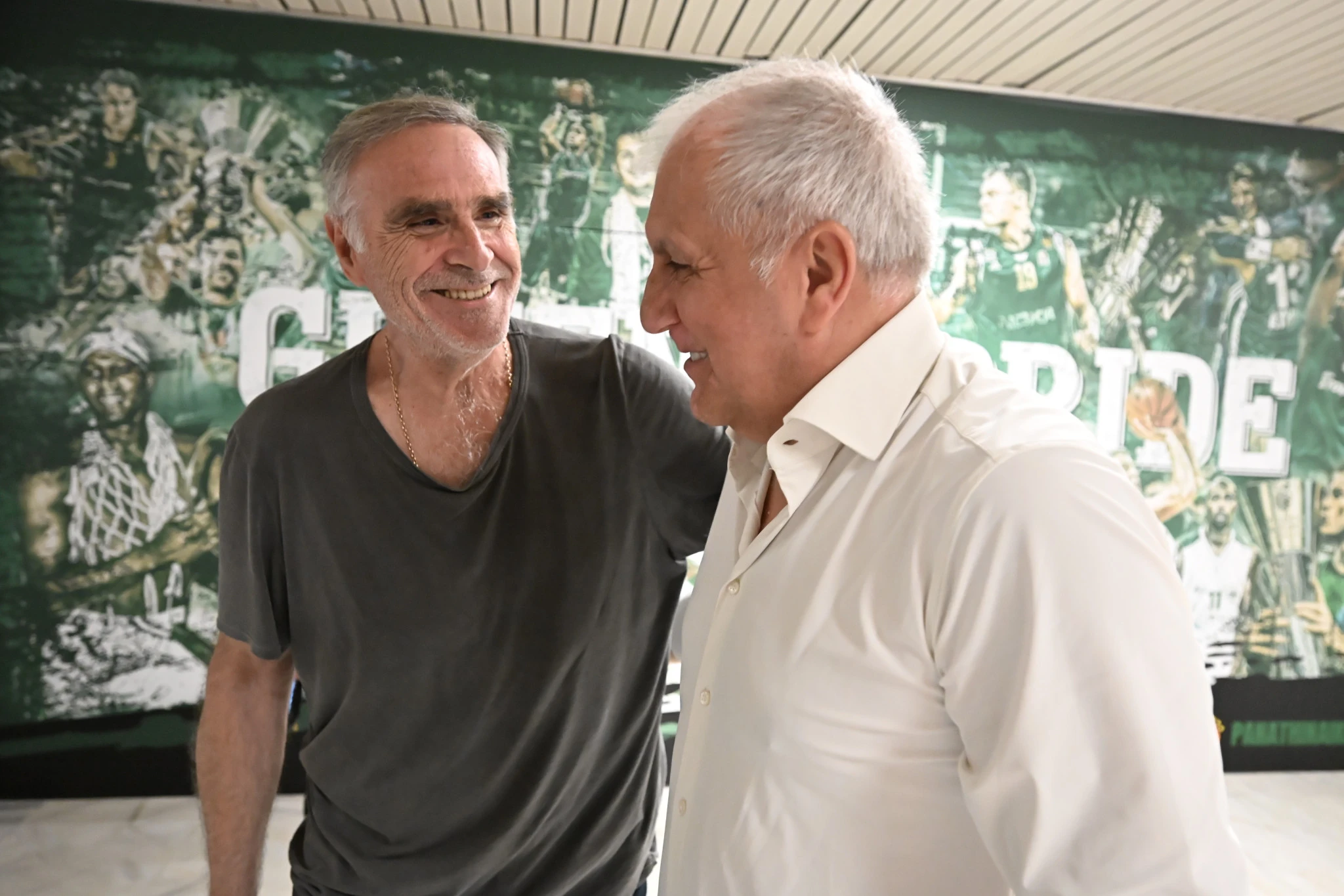 Ο Ζέλικο Ομπράντοβιτς ξανά στο ΟΑΚΑ, Πηγή:&nbsp;Vaggelis Stolis