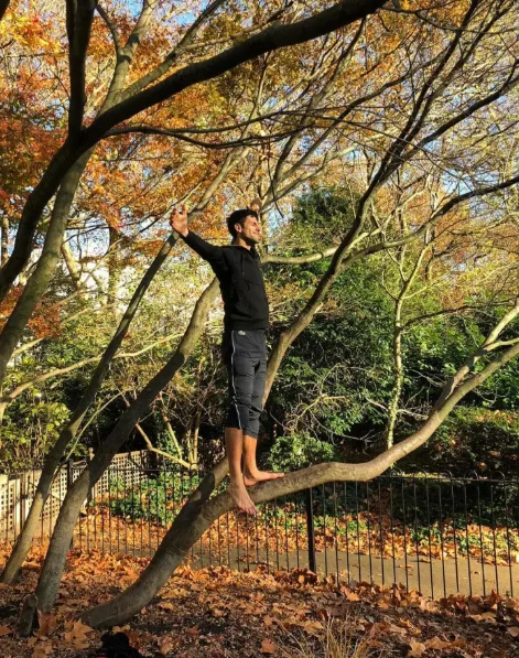 tree.png