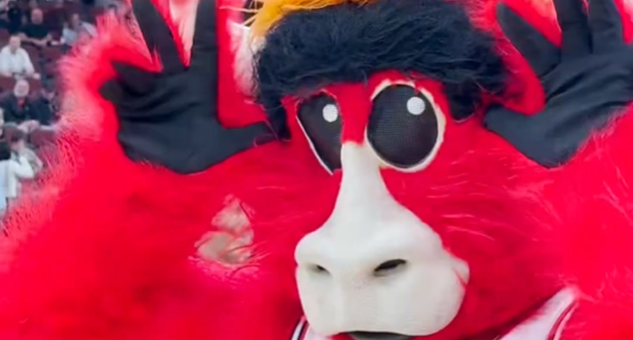 O Benny the Bull των Σικάγο Μπουλς / Πηγή: Screenshot