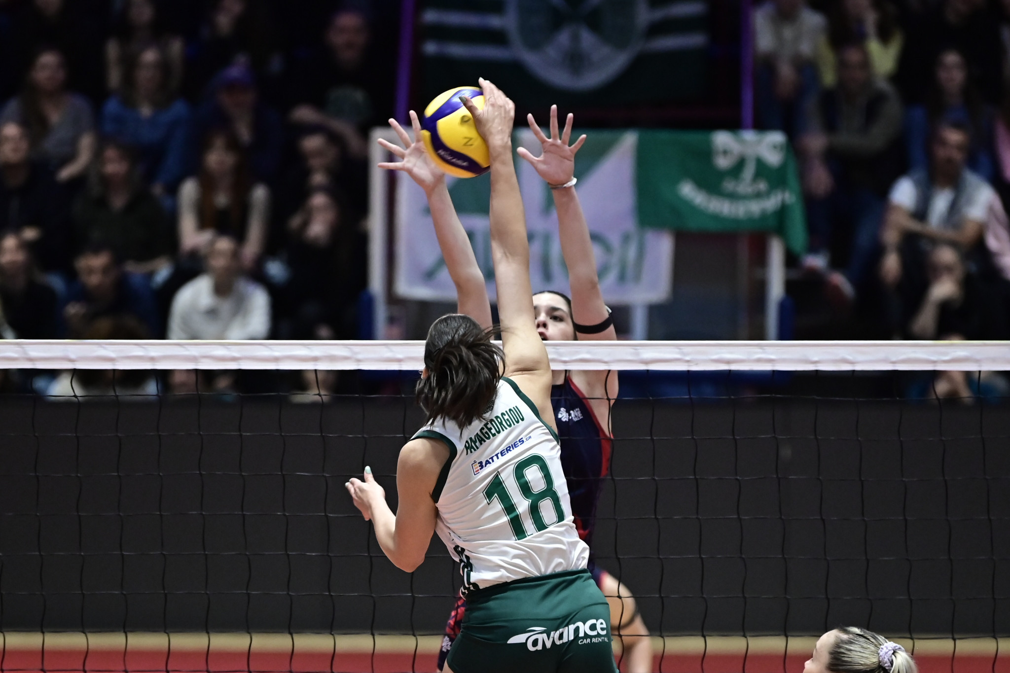 Με 4 ελληνικές ομάδες το CEV Challenge Cup Γυναικών - Θα παλέψει για την είσοδο και ο Ολυμπιακός