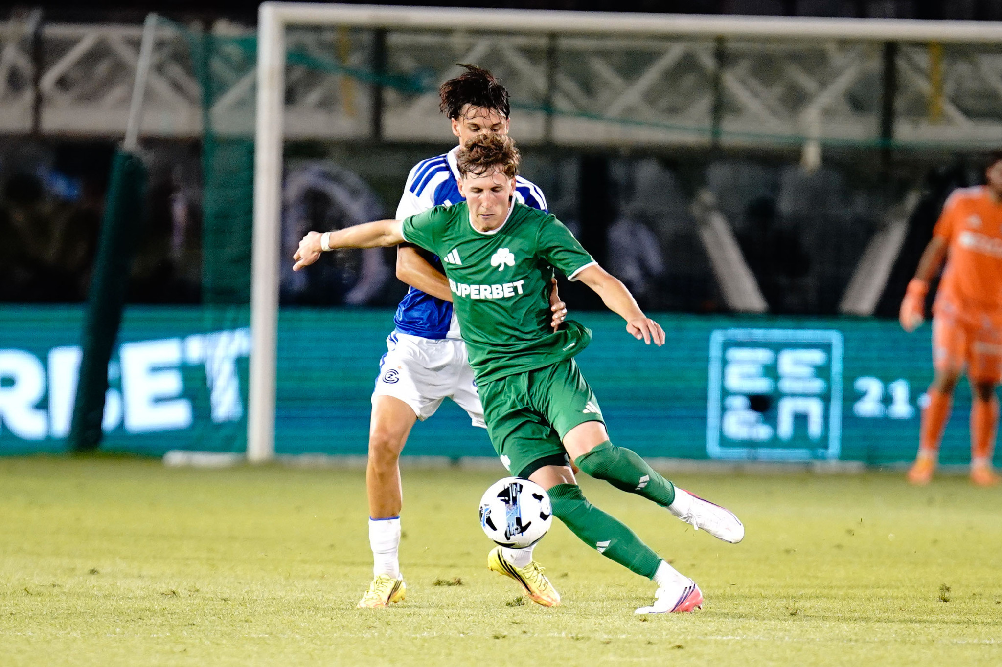 Παναθηναϊκός - Γκρασχόπερς 3-0: Τα highlights της άνετης νίκης των πρασίνων